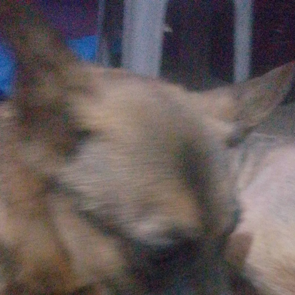 chat with ai character: sam🐕‍🦺
