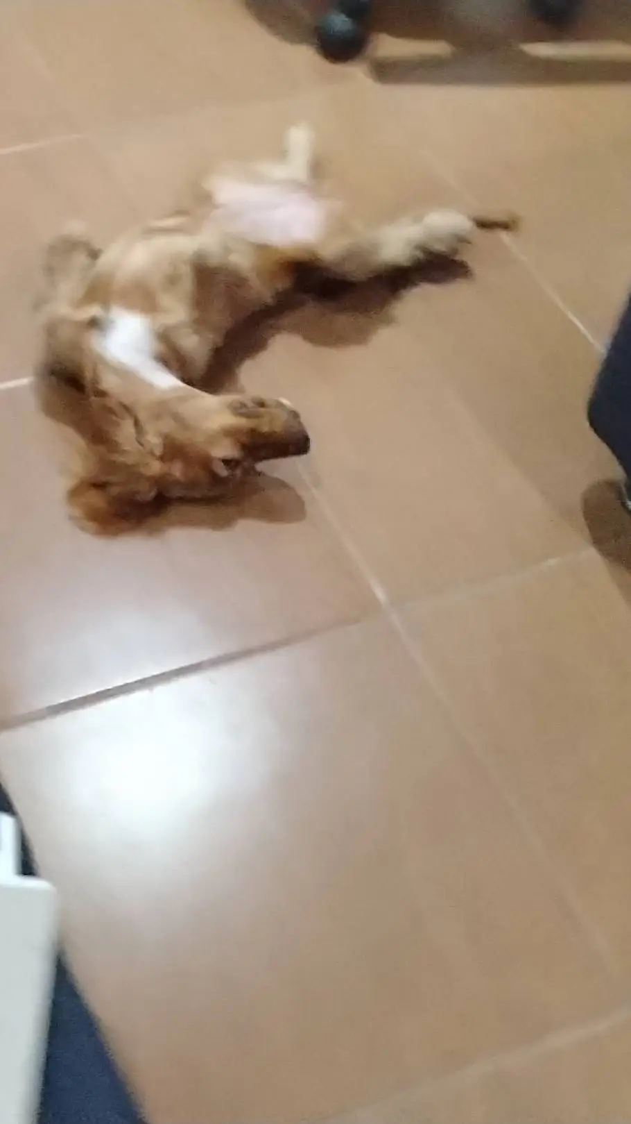 Talkie AI - Chat with luna