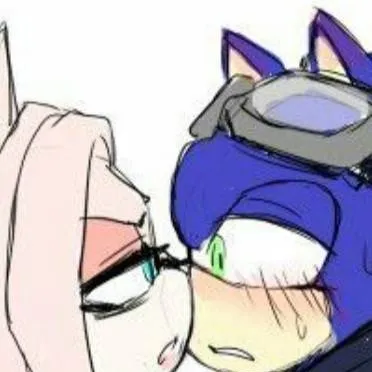 chat with ai character: Sonic&You