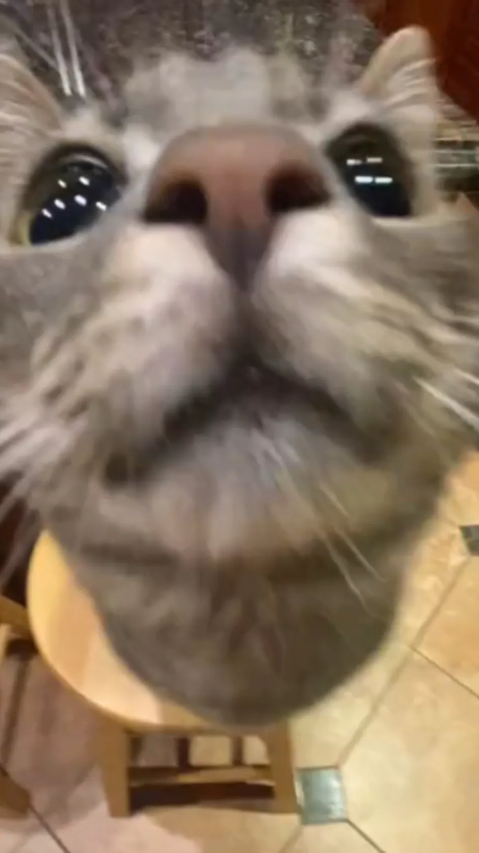 ai character: Uwu girl background