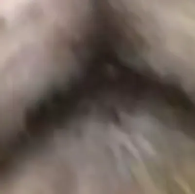 chat with ai character: Uwu girl