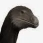 chat with ai character: therizinosaurus