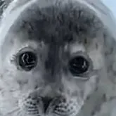 chat with ai character: dandy's world ⭐