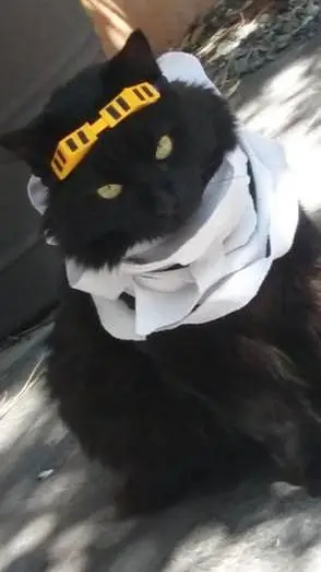 ai character: Bakugo Katsuki  background