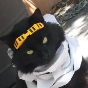 chat with ai character: Bakugo Katsuki 