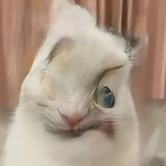 chat with ai character: Cat Face Remove