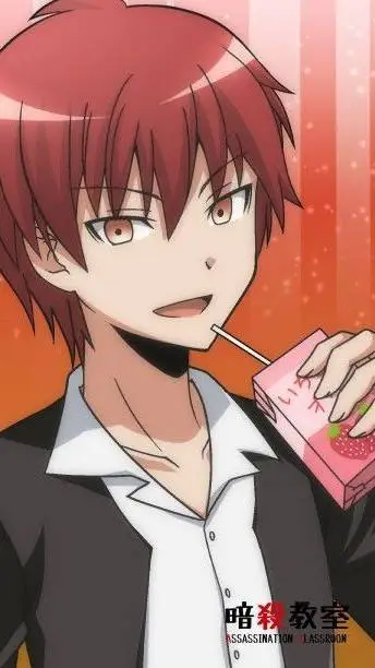 ai character: Karma Akabane background