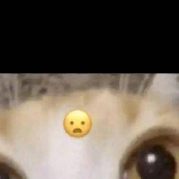 chat with ai character: 😦