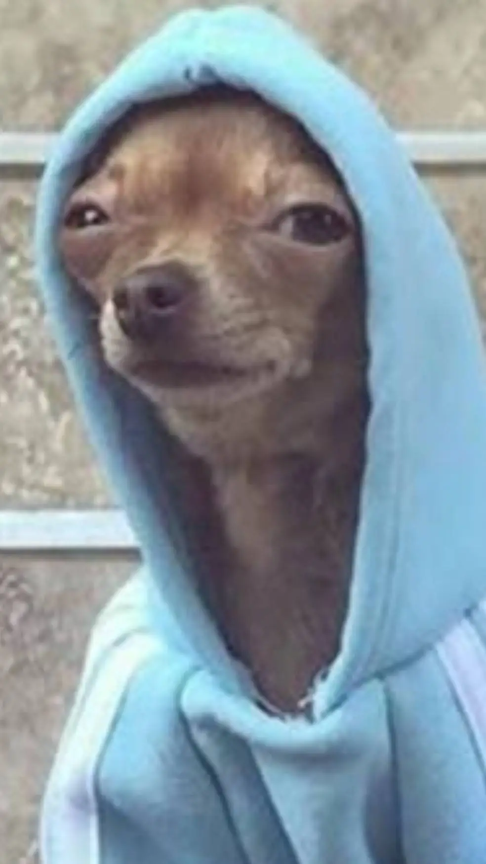 ai character: dog background
