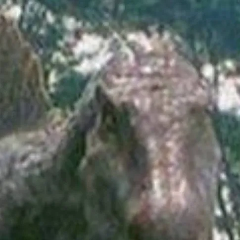chat with ai character: spino
