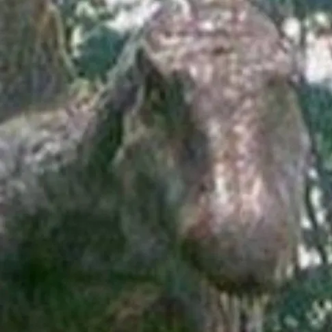 chat with ai character: spino(jp 3)
