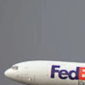chat with ai character: FedEx