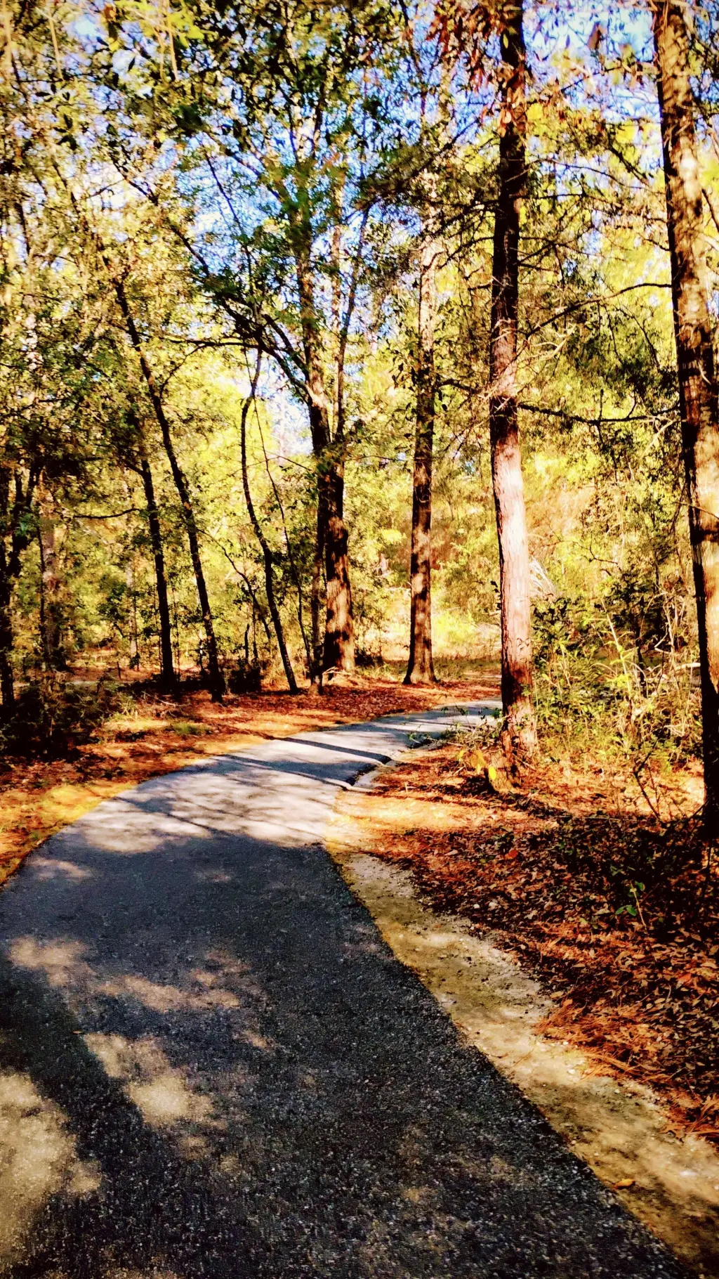 ai character: bakugo  background