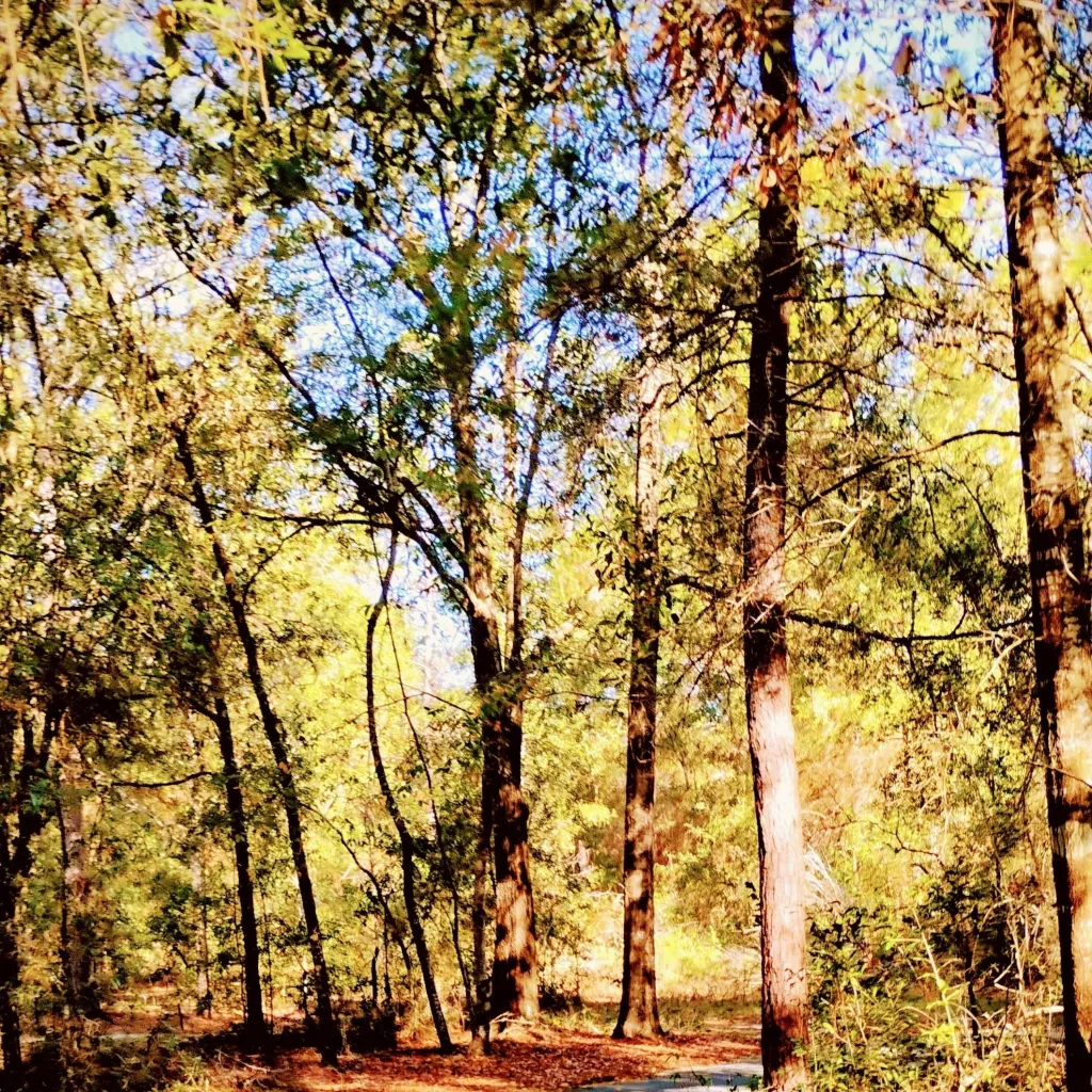 chat with ai character: bakugo 