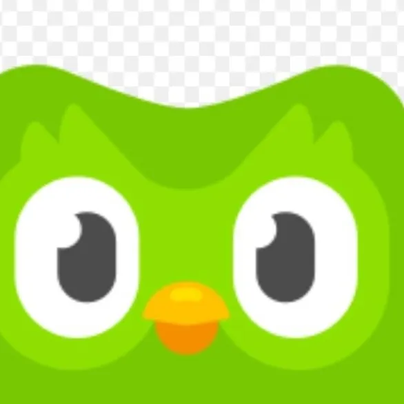 chat with ai character: Duolingo