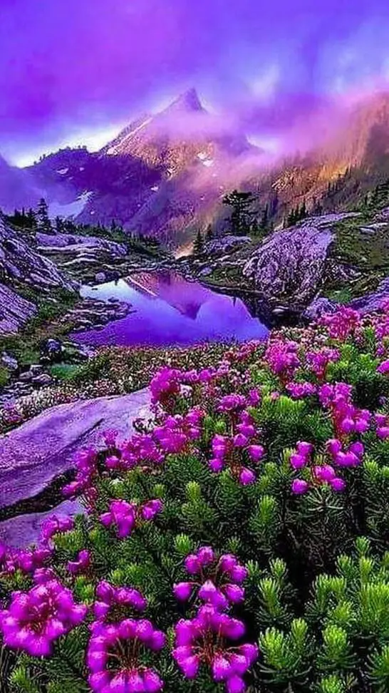 ai character: catnap x dogday  background