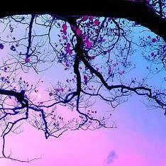 chat with ai character: esmaily criters 