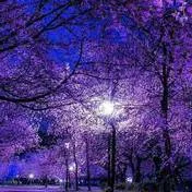 chat with ai character: catnap x dogday 