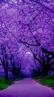 ai character: catnap x dogday  background