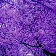 chat with ai character: catnap x dogday 