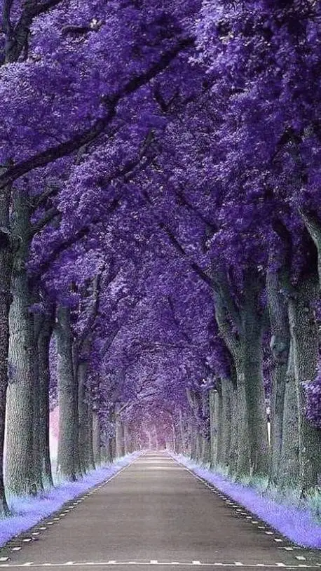 ai character: creepypastas  background