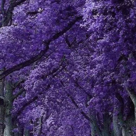 chat with ai character: creepypastas 