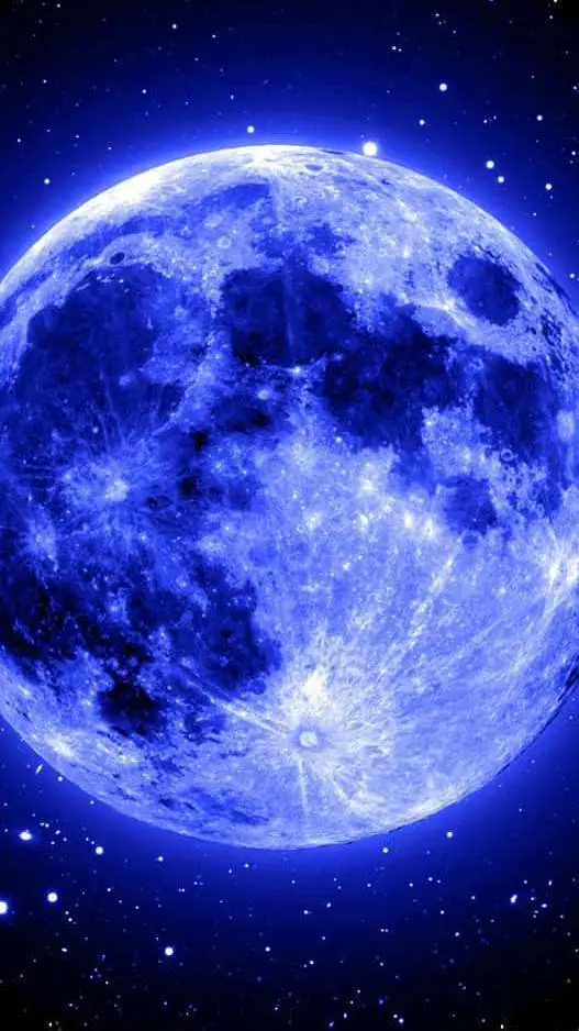 ai character: catnap x dogday  background