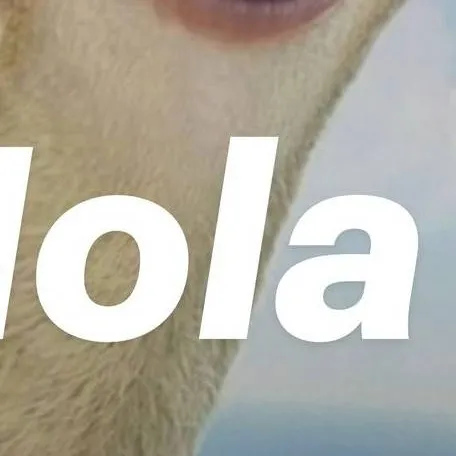 chat with ai character: Hola 