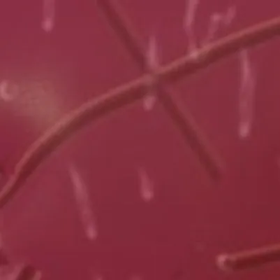 chat with ai character: Retro beast 