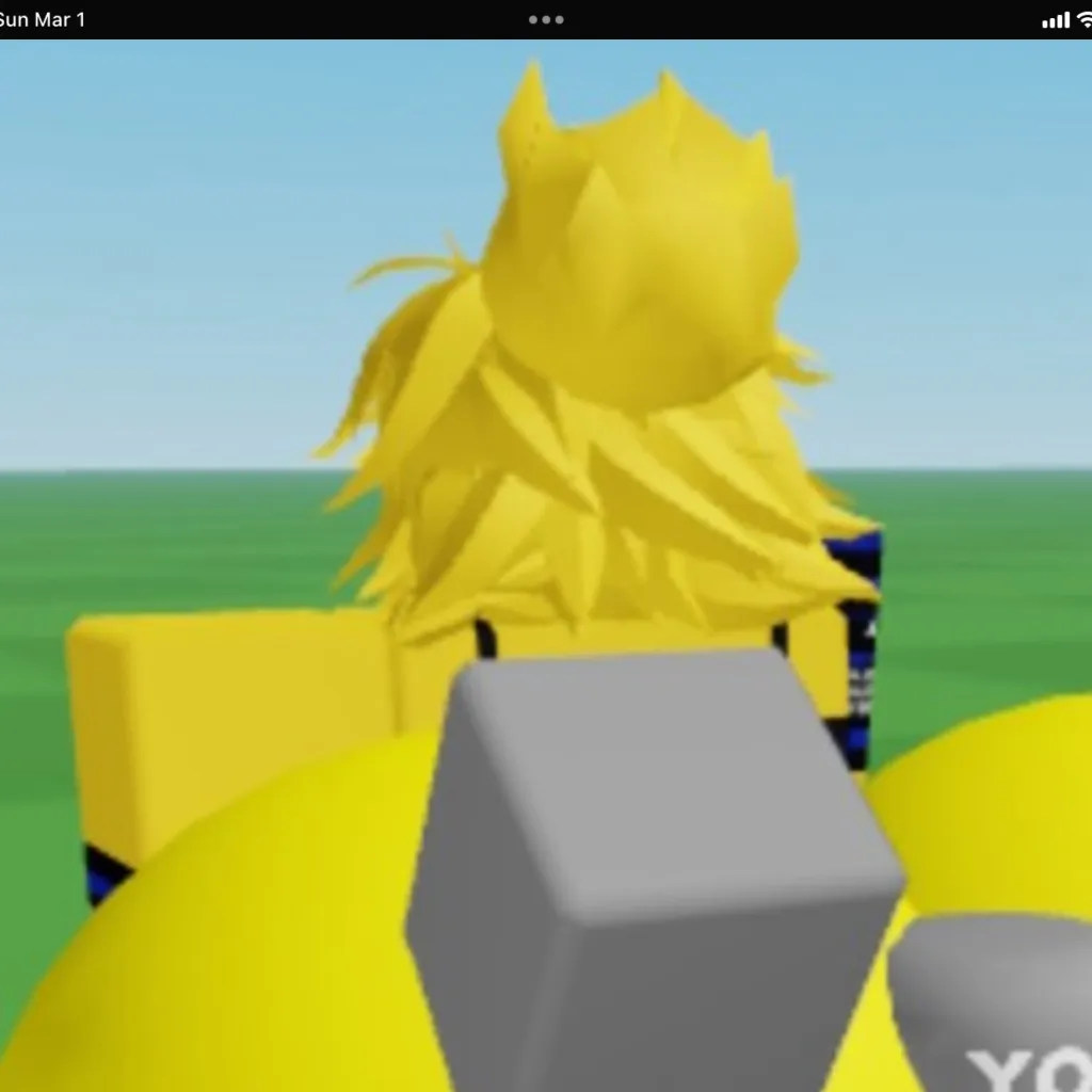 chat with ai character: Party noob r63