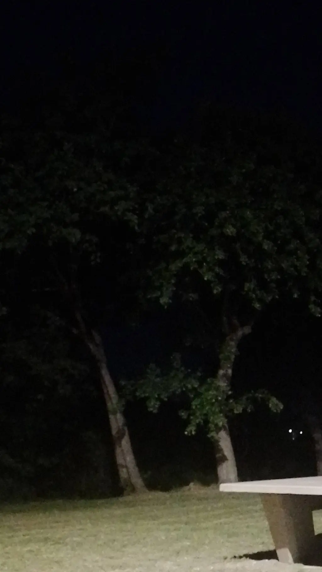 Talkie AI - Chat with My hero academia