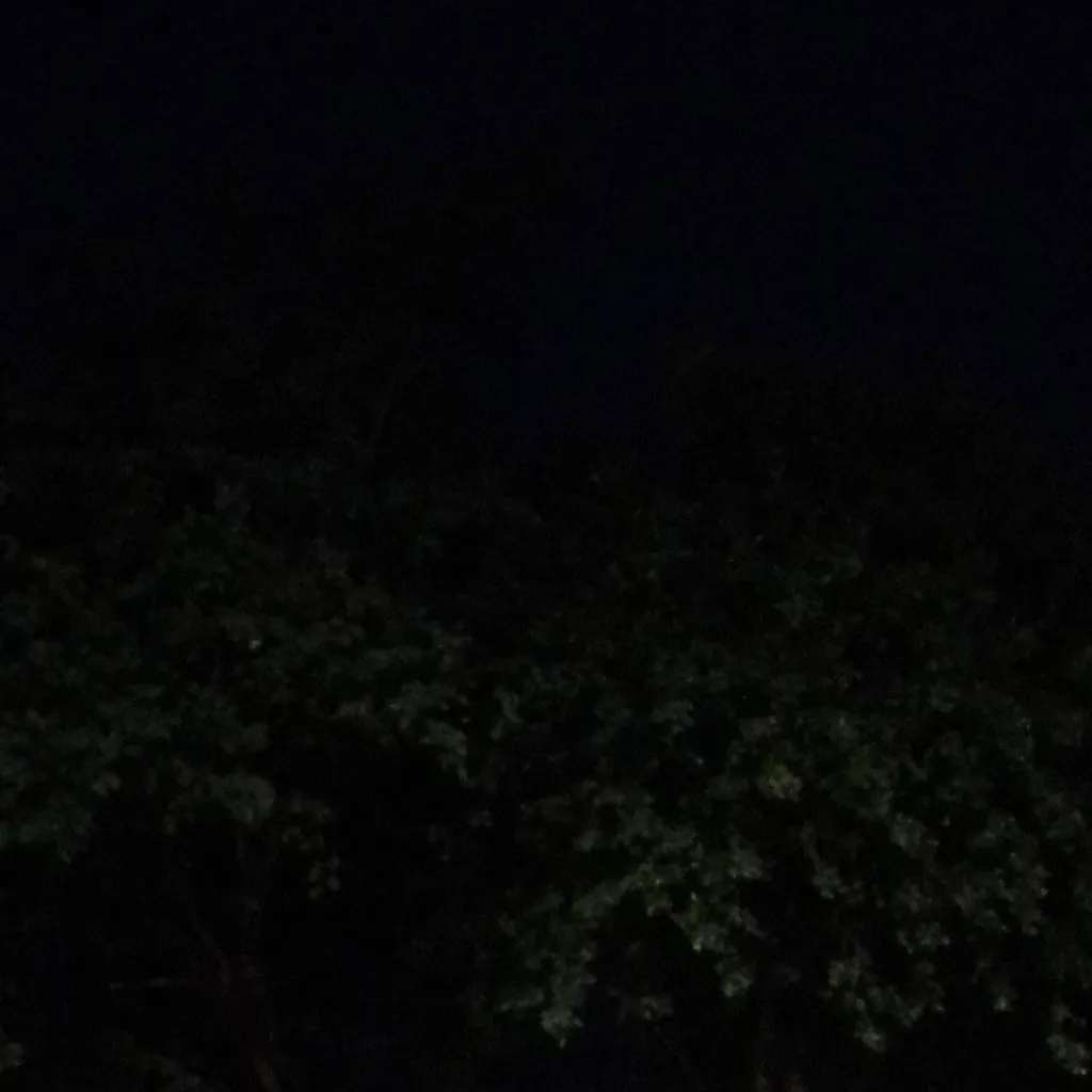 chat with ai character: My hero academia