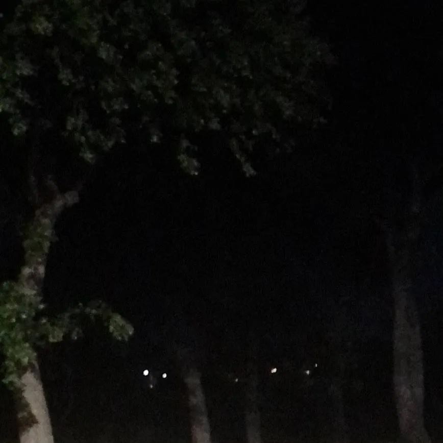 chat with ai character: Power Chainsawman