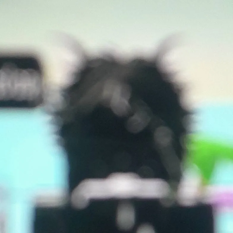 chat with ai character: no se