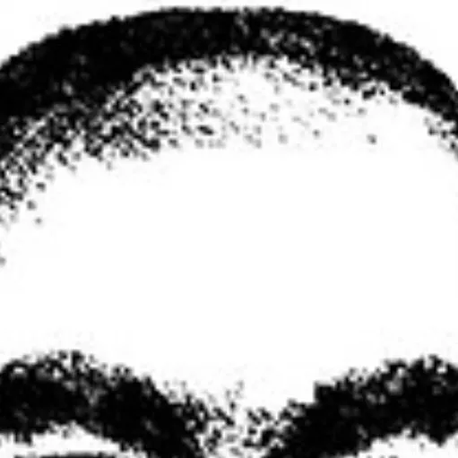 chat with ai character: This man