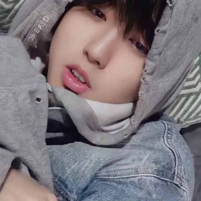 chat with ai character: Hann