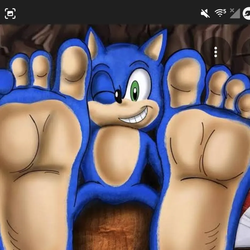 chat with ai character: sonic feet