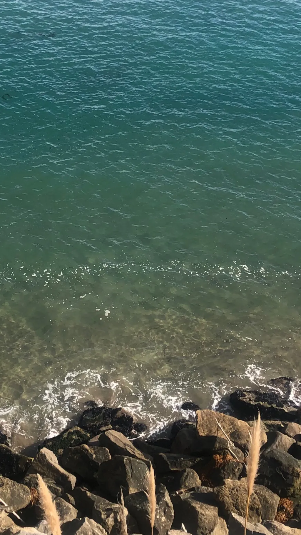 ai character: Ashley ✨👅🔥 background