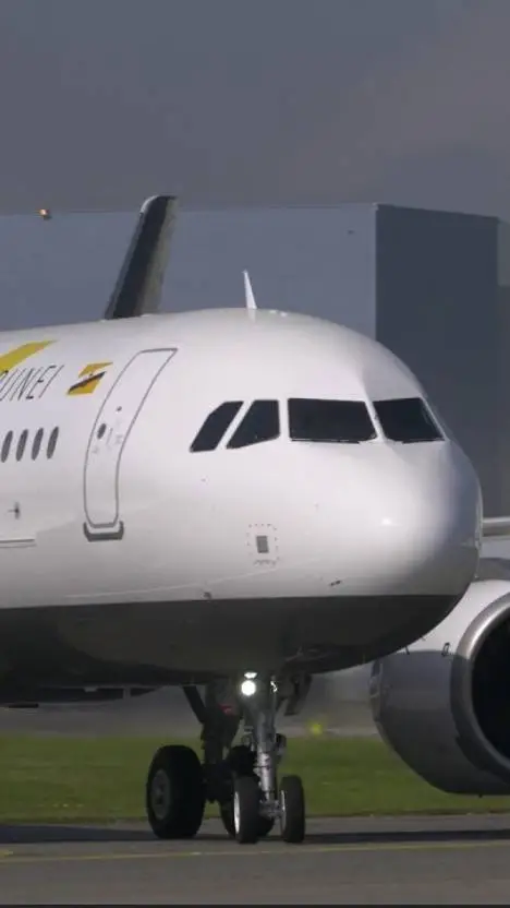 ai character: Royal Brunei background