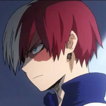 chat with ai character: shoto todoroki 