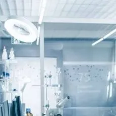 chat with ai character: lab/🏥 or anything 