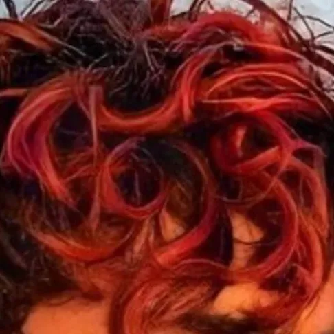 chat with ai character: Timothee Chalamet