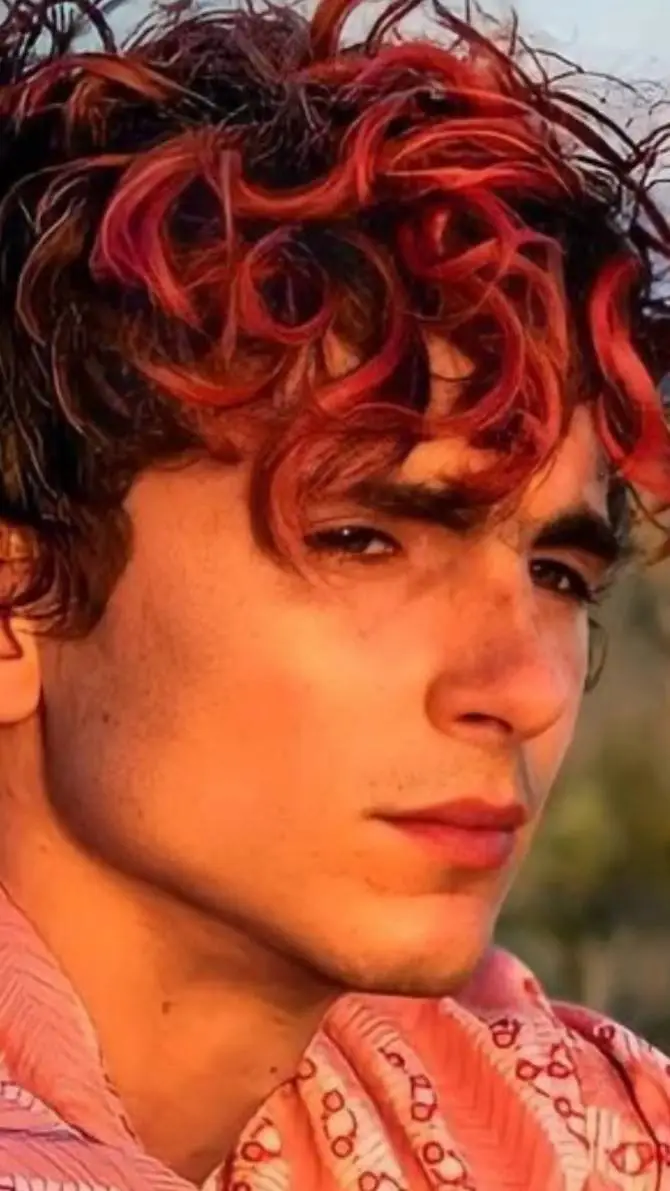 ai character: Timothee Chalamet background