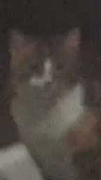 ai character: ... background