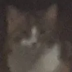 chat with ai character: ...