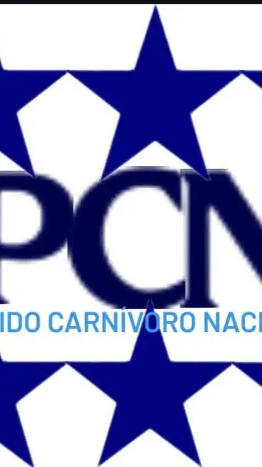 ai character: PCN background