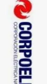 ai character: CORPOELEC background