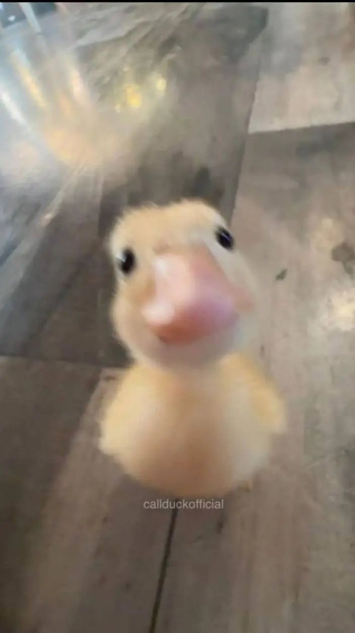 ai character: Duck background