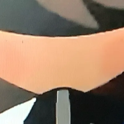 chat with ai character: (Lab)Alice