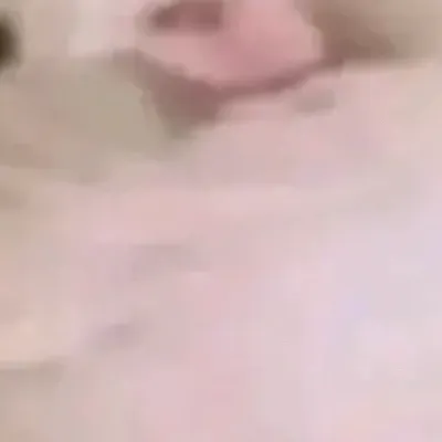 chat with ai character: ASUS VIVOBOOK